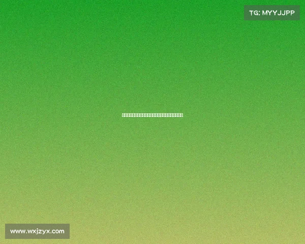 跑步赛事报名火热开启挑战自我即刻加入健康奔跑行列